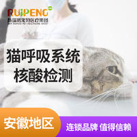 【安徽阿闻】猫呼吸系统PCR核酸检测